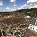 12_55-nest.jpg