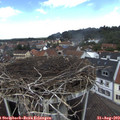 13_00-nest.jpg