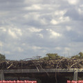13_05-mast.jpg