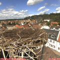 13_05-nest.jpg