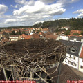 13_10-nest.jpg