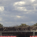 13_15-mast.jpg