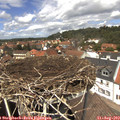 13_15-nest.jpg