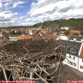 13_20-nest.jpg