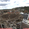 13_25-nest.jpg