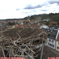 13_35-nest.jpg