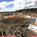 13_40-nest.jpg