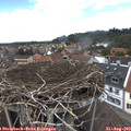 13_45-nest.jpg