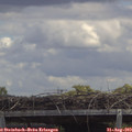 13_55-mast.jpg