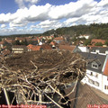 14_00-nest.jpg