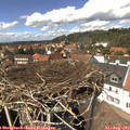 14_05-nest.jpg