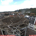 14_10-nest.jpg