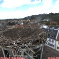 14_15-nest.jpg