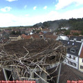 14_20-nest.jpg
