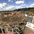 14_25-nest.jpg