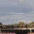 14_30-mast.jpg