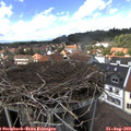 14_30-nest.jpg
