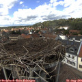 14_45-nest.jpg