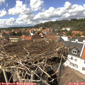 14_50-nest.jpg
