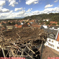 15_00-nest.jpg