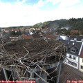15_05-nest.jpg
