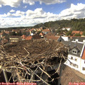 15_25-nest.jpg