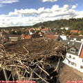 15_30-nest.jpg