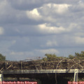 15_35-mast.jpg