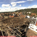 15_40-nest.jpg