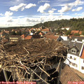 15_45-nest.jpg