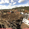 15_50-nest.jpg