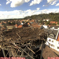 15_55-nest.jpg