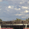 16_00-mast.jpg