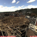 16_00-nest.jpg