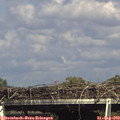 16_05-mast.jpg