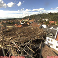 16_05-nest.jpg