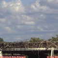 16_10-mast.jpg