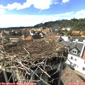 16_10-nest.jpg
