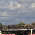 16_15-mast.jpg