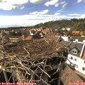 16_15-nest.jpg