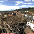 16_25-nest.jpg