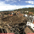 16_30-nest.jpg