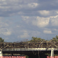 16_35-mast.jpg