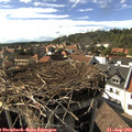 16_35-nest.jpg