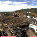 16_40-nest.jpg