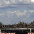16_45-mast.jpg