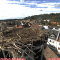 16_45-nest.jpg