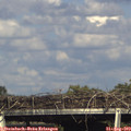 16_55-mast.jpg