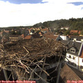 16_55-nest.jpg