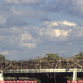 17_10-mast.jpg